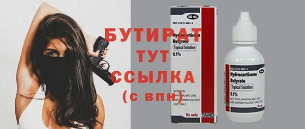 индика Абаза