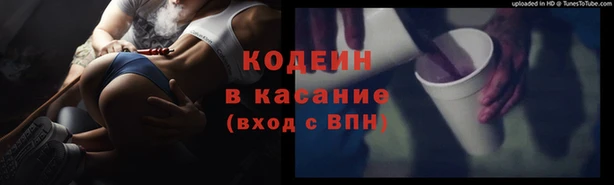 индика Абаза
