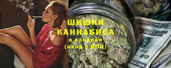 индика Абаза