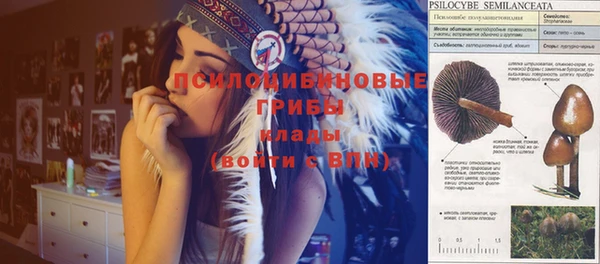 амф Абинск